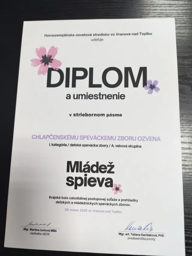 Silver tier diploma for Boys' Choir